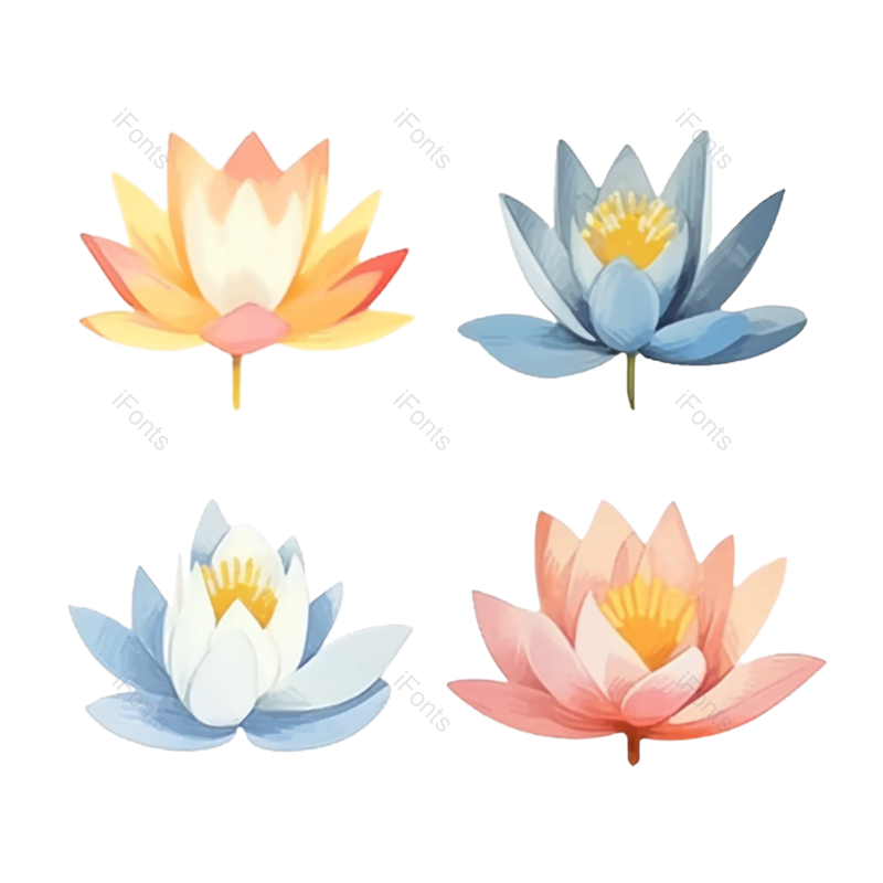 叶子图片,夏至元素,元素PNG,荷花免抠素材